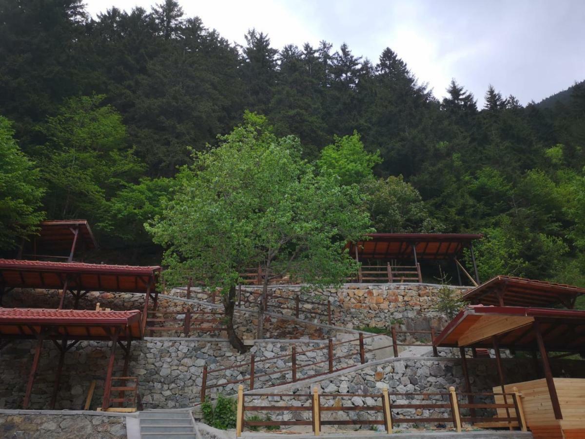 Turkuaz Apart Uzungöl Buitenkant foto